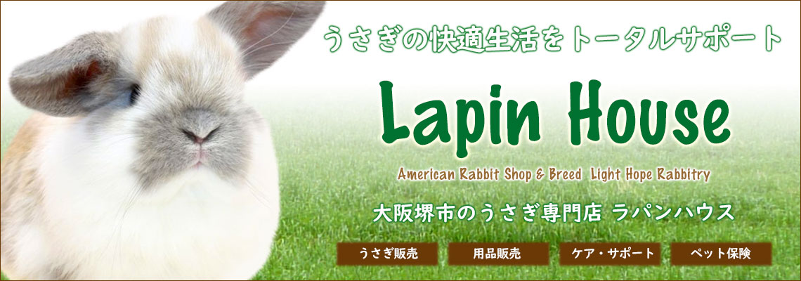 うさぎ専門店 Lapin House